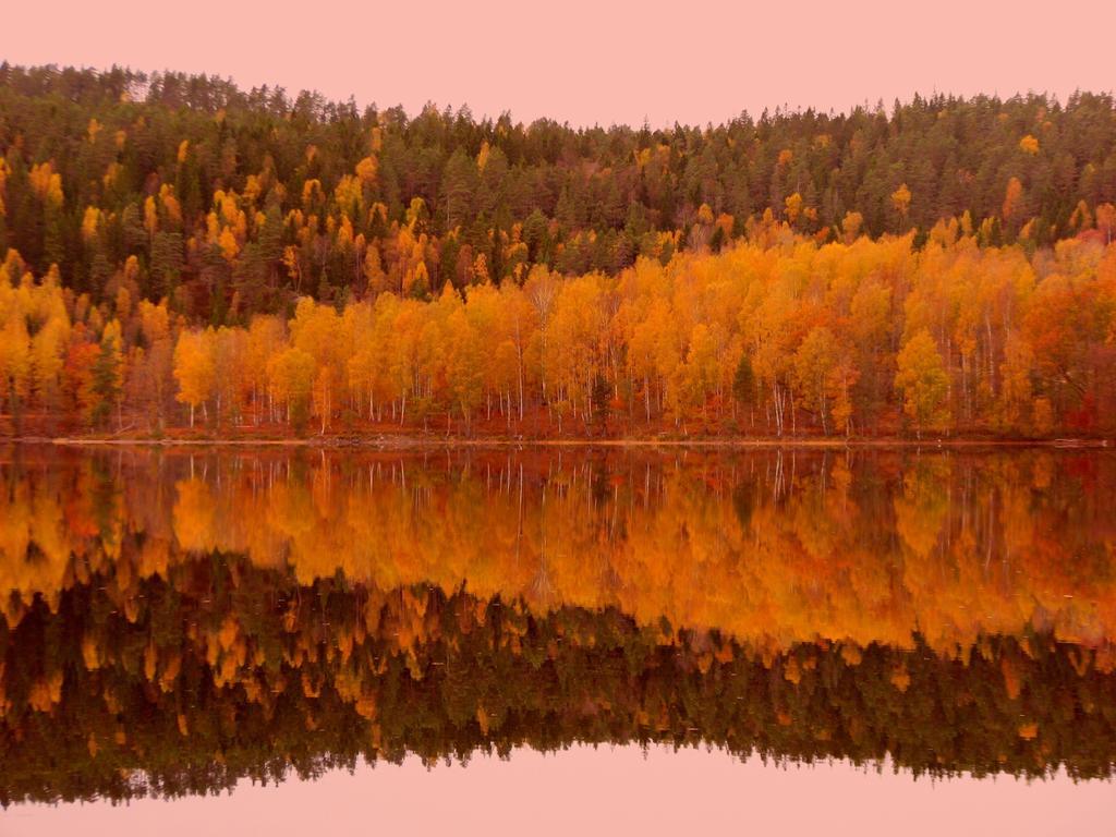 Edsleskogs Waerdshus Hotel Åmål Екстериор снимка